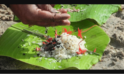 ക​ർ​ക്ക​ട​ക വാ​വു ബ​ലി; തി​രു​നെ​ല്ലി​യി​ൽ ഒ​രു​ക്കം പൂ​ർ​ണം