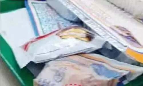 വന്ദേഭാരതിലെ ഭക്ഷണത്തിൽ പാറ്റയെന്ന് പരാതി; പായ്ക്കിങ്ങിൽ വീഴ്ച വന്നിട്ടില്ലെന്ന് കാറ്ററിങ് വിഭാഗം