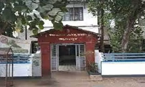 മരം വീണ്​ മരണം: നഗരസഭ യോഗം വിളിക്കും