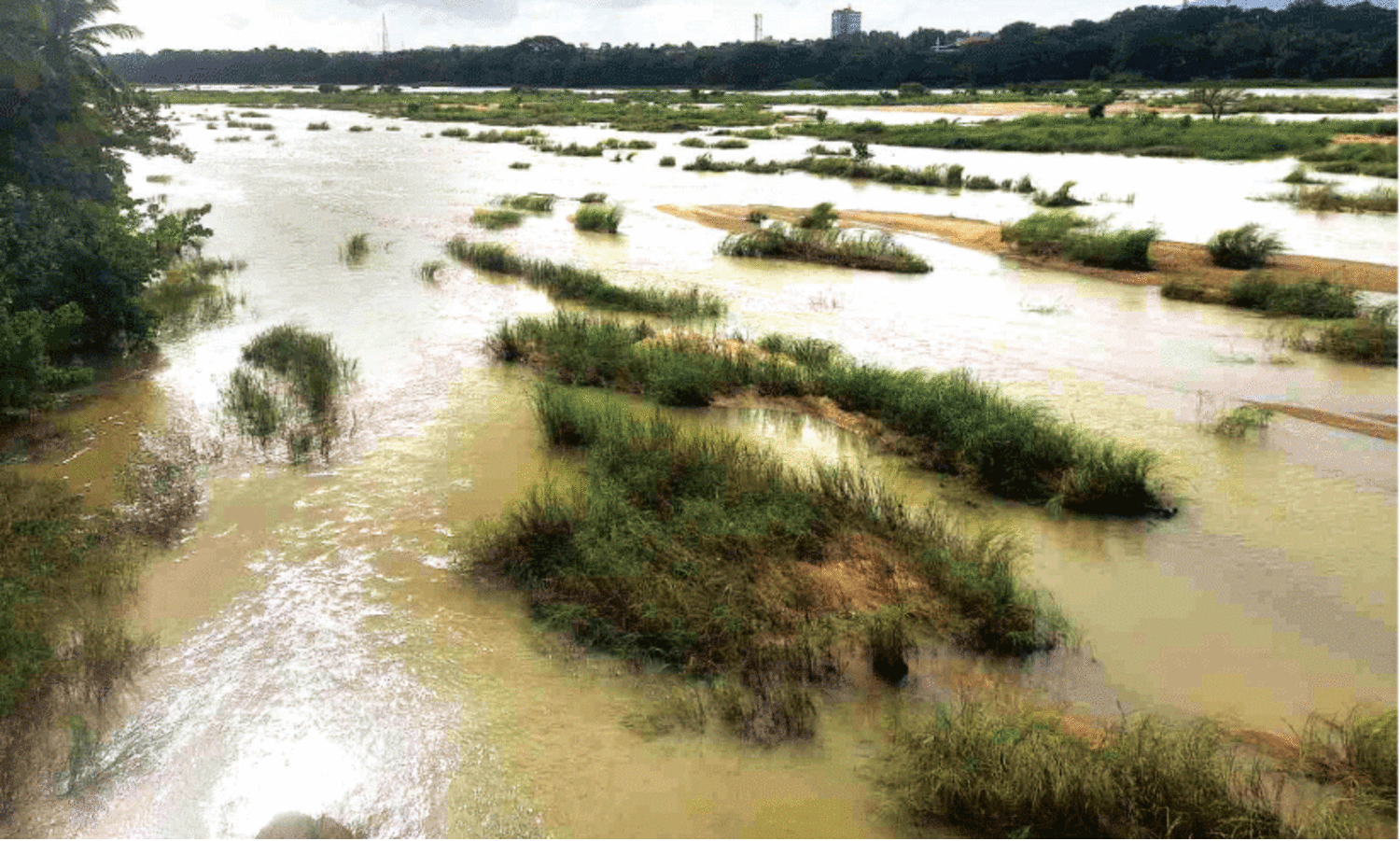 മ​ഴ കു​റ​ഞ്ഞു, നി​ള മെ​ലി​ഞ്ഞു