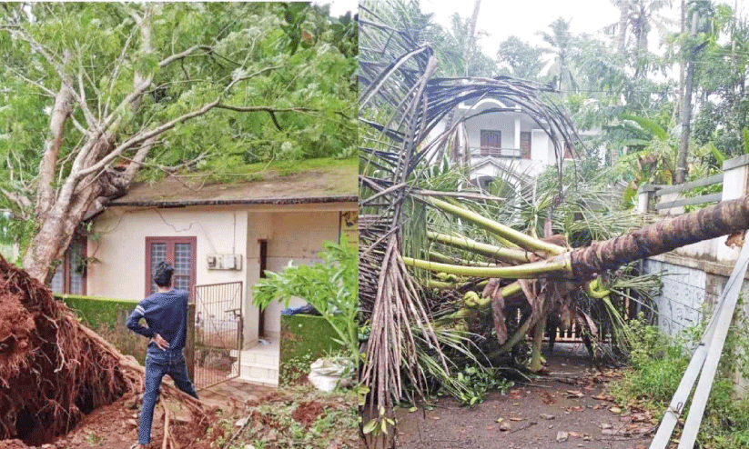 ചുഴലിക്കാറ്റ്: വ്യാപകനാശം