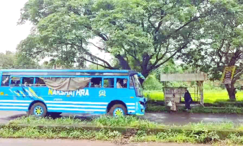 മുറിച്ചുമാറ്റണം, ഭീഷണിയായ മരങ്ങൾ