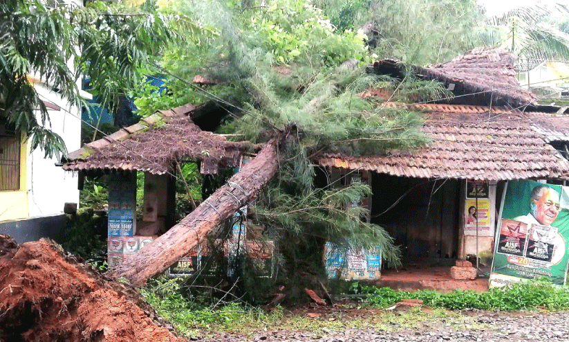 മി​ന്ന​ൽ ചു​ഴ​ലി; വ്യാ​പ​ക നാ​ശം