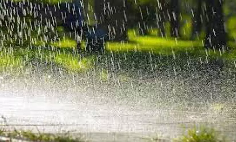 കാറ്റും മഴയും; ജില്ലയിൽ 5.51 കോടിയുടെ കൃഷിനാശം കാറ്റും മഴയും; ജില്ലയിൽ 5.51 കോടിയുടെ കൃഷിനാശം