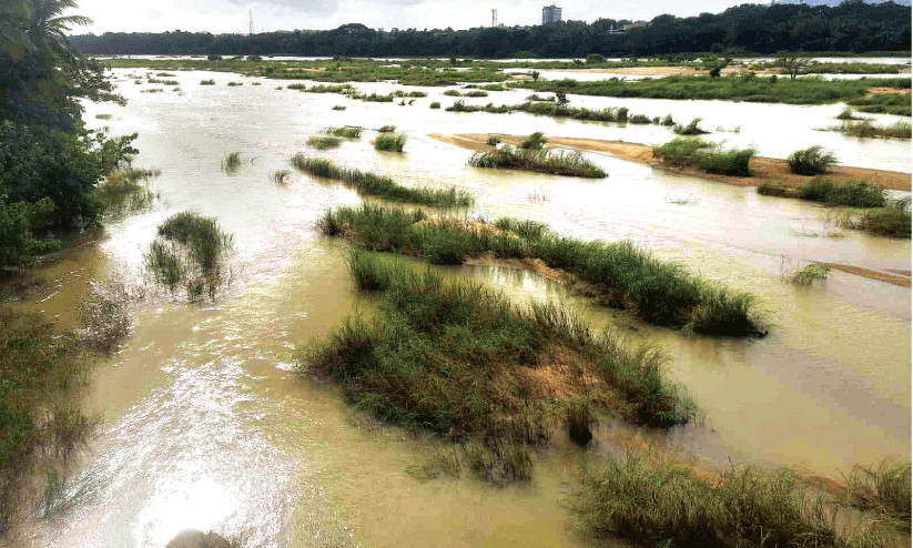 മഴ കുറഞ്ഞു, നിള മെലിഞ്ഞു മഴ കുറഞ്ഞു, നിള മെലിഞ്ഞു