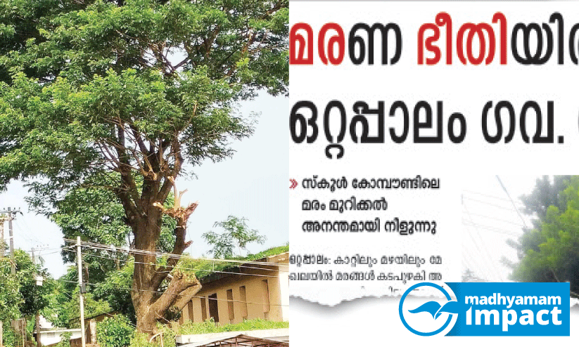 ഈസ്റ്റ് ഒറ്റപ്പാലം ഗവ. സ്കൂൾ കോമ്പൗണ്ടിലെ മരത്തിന്റെ ശിഖരങ്ങൾ മുറിച്ചുമാറ്റി ഈസ്റ്റ് ഒറ്റപ്പാലം ഗവ. സ്കൂൾ കോമ്പൗണ്ടിലെ മരത്തിന്റെ ശിഖരങ്ങൾ മുറിച്ചുമാറ്റി
