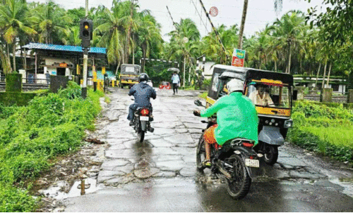 റെ​യി​ൽ​വേ​യു​ടെ പ​ച്ച​ക്കൊ​ടി; ഇ​രി​ണാ​വ് മേ​ൽ​പാ​ല​ത്തി​ന് അം​ഗീ​കാ​രം