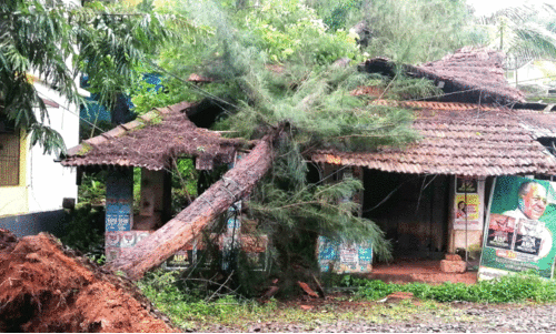 മി​ന്ന​ൽ ചു​ഴ​ലി; വ്യാ​പ​ക നാ​ശം