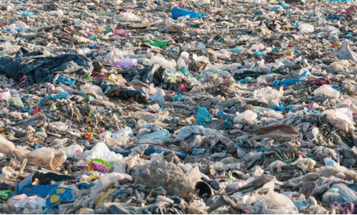 പ്ലാസ്റ്റിക് നിരോധനം: പാളിയത് പലതവണ