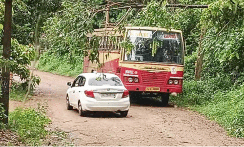 ആദ്യ സർവിസിനൊരുങ്ങിയ ബസിന് മുകളിൽ മരം വീണു ആദ്യ സർവിസിനൊരുങ്ങിയ ബസിന് മുകളിൽ മരം വീണു