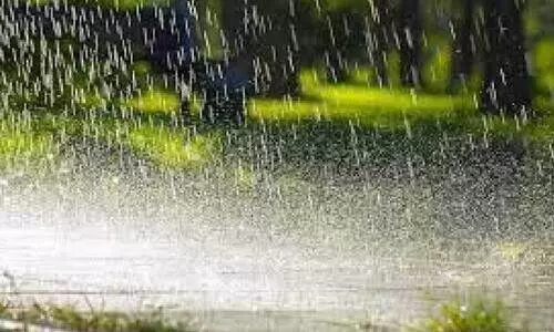 കാ​റ്റും മ​ഴ​യും; ജി​ല്ല​യി​ൽ 5.51 കോ​ടി​യു​ടെ കൃ​ഷിനാ​ശം