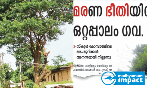 ഈ​സ്റ്റ് ഒ​റ്റ​പ്പാ​ലം ഗ​വ. സ്‌​കൂ​ൾ കോ​മ്പൗ​ണ്ടി​​ലെ മ​ര​ത്തി​ന്റെ ശി​ഖ​ര​ങ്ങ​ൾ മു​റി​ച്ചു​മാ​റ്റി