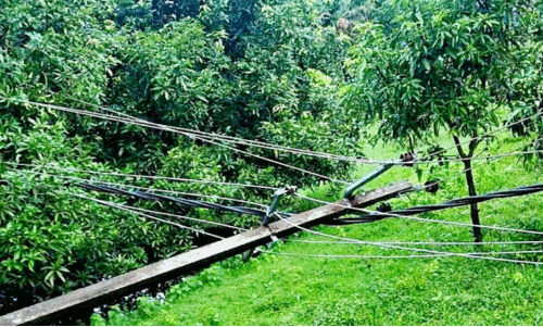 കാറ്റും മഴയും; കെ.എസ്.ഇ.ബിക്ക് ഇ​രുട്ടടി