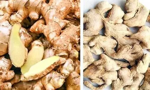 ഉൽപാദനം കുറഞ്ഞു; ഹൈറേഞ്ചിൽ ഇഞ്ചിക്കും ചുക്കിനും പൊന്നുംവില