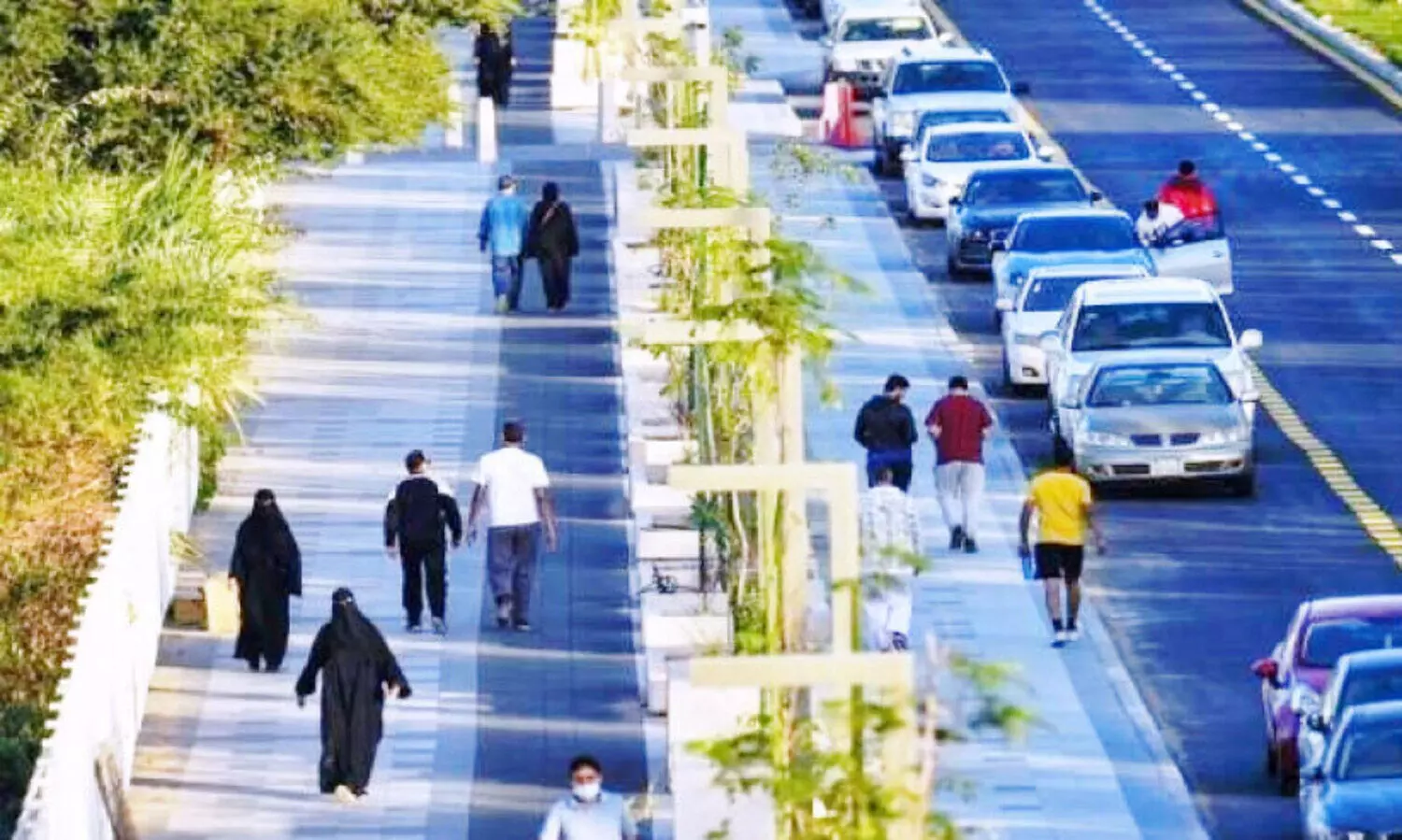 life expectancy rate