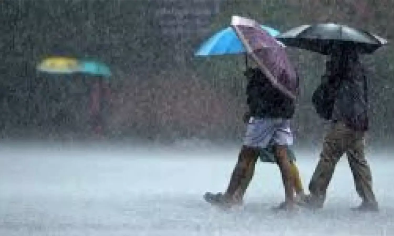 മഴ: ആറ് ജില്ലകളിലെ വിദ്യാഭ്യാസ സ്ഥാപനങ്ങൾക്ക് നാളെ അവധി