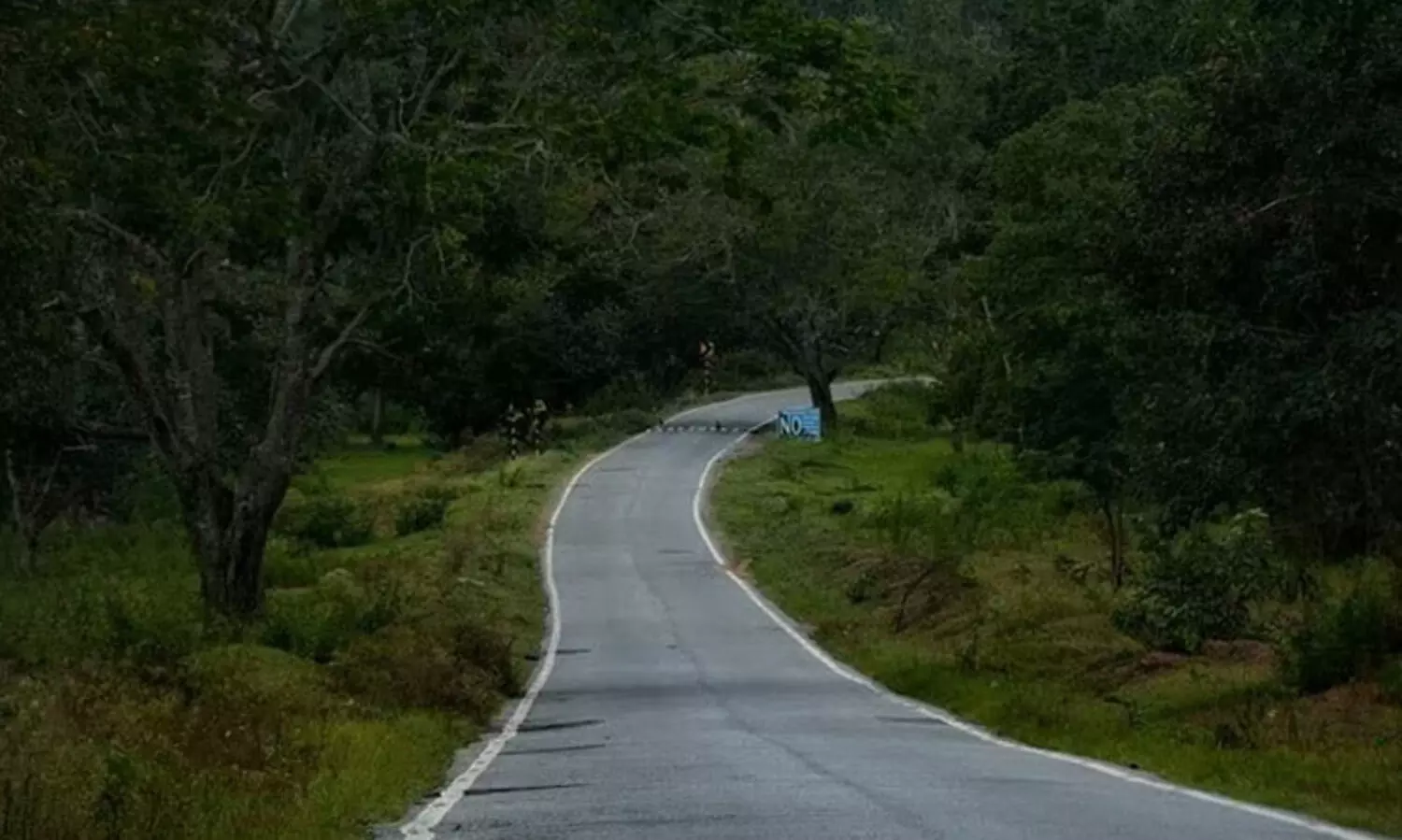 മുത്തങ്ങ റോഡ് രാത്രി തുറക്കാൻ കേന്ദ്രമന്ത്രിയെ കണ്ട് ഹാരിസ് ബീരാൻ