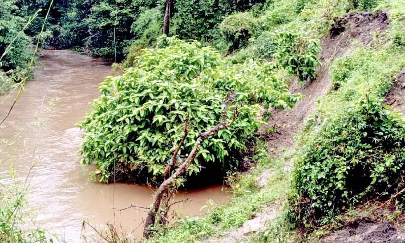 വീണ്ടും മഴ കനത്തു വീണ്ടും മഴ കനത്തു