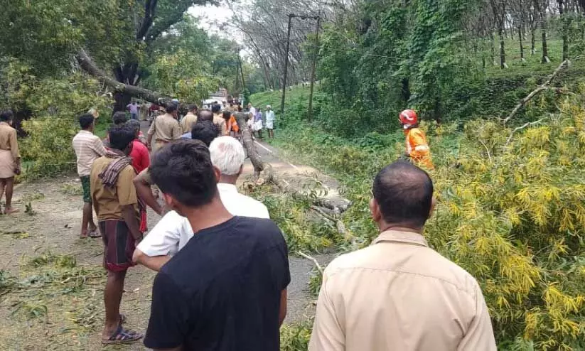 Power line down on rain and wind