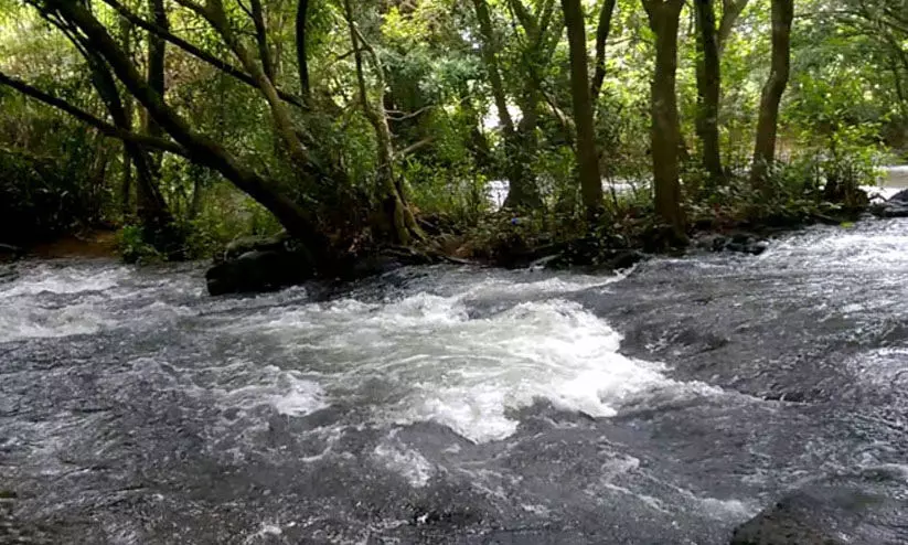 എറണാകുളം ജില്ലയിലെ എല്ലാ വിനോദസഞ്ചാര കേന്ദ്രങ്ങളിലും പ്രവേശനവിലക്ക് എറണാകുളം ജില്ലയിലെ എല്ലാ വിനോദസഞ്ചാര കേന്ദ്രങ്ങളിലും പ്രവേശനവിലക്ക്