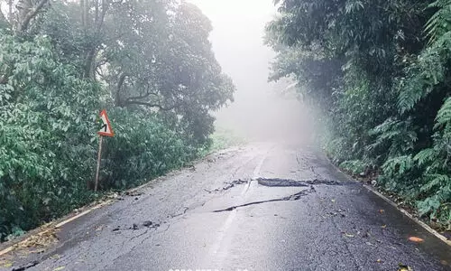 നെടുംപൊയിൽ - മാനന്തവാടി ചുരം റോഡിൽ വിള്ളൽ; ഗതാഗതം നിരോധിച്ചു