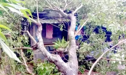 ചു​ഴ​ലി​ക്കാ​റ്റ്​ പ​തി​വാ​കു​ന്നു: പ​ര​ക്കെ നാ​ശം