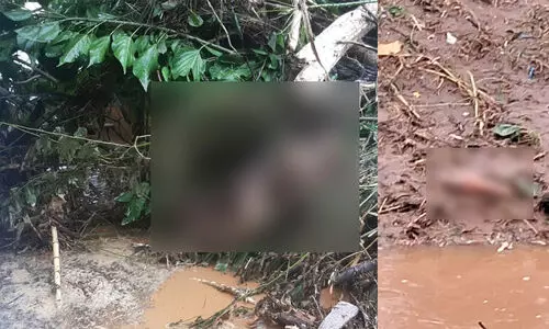 കരൾപിളർത്തും കാഴ്ചയായി ചാലിയാർ: ഒഴുകിയെത്തിയ 20 മൃതദേഹങ്ങളും ശരീരാവശിഷ്ടങ്ങളും കണ്ടെടുത്തു