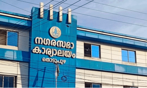 Counselor Disqualification Counselor Disqualification