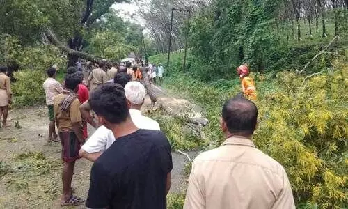 Power line down on rain and wind