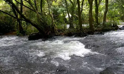 എറണാകുളം ജില്ലയിലെ എല്ലാ വിനോദസഞ്ചാര കേന്ദ്രങ്ങളിലും പ്രവേശനവിലക്ക്