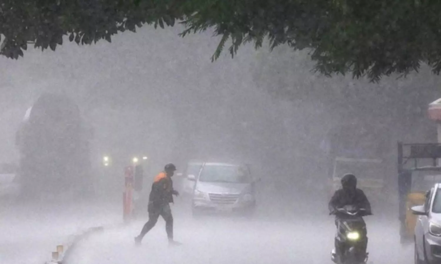 തൃശൂരിൽ 3980 പേർ ദുരിതാശ്വാസ ക്യാമ്പുകളിൽ