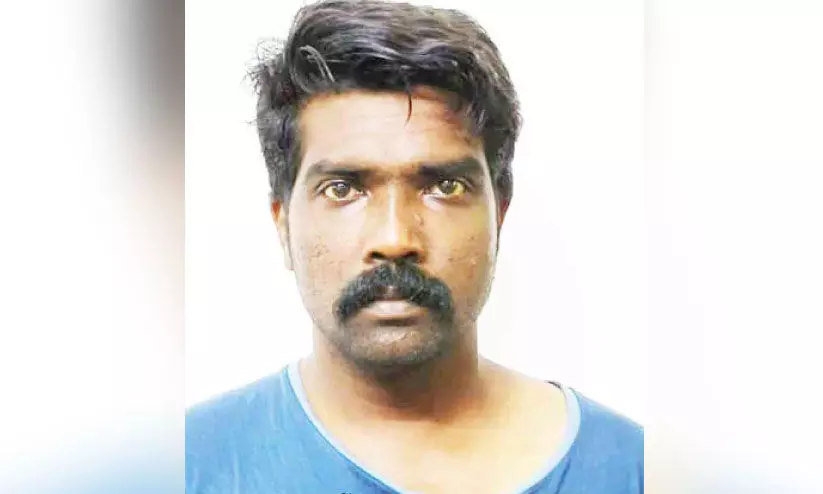 ജി​ബി​ന്‍