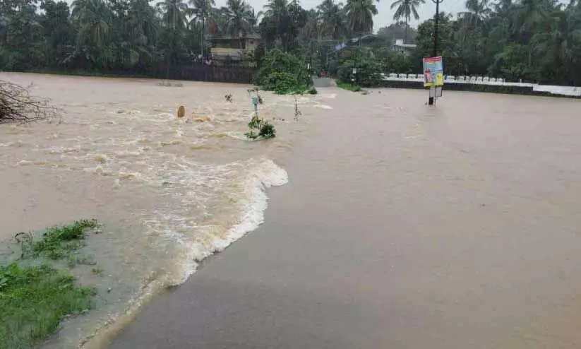 palakkad news palakkad news