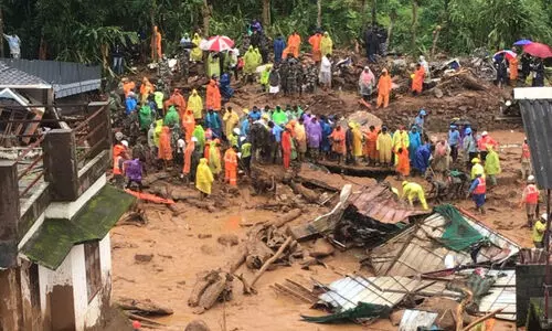 പാലക്കാട് മെഡിക്കല്‍ കോളജില്‍നിന്ന് വയനാട്ടിലേക്ക് ഡോക്ടർമാരും സംഘവും