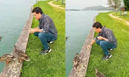 ക്രിക്കറ്റിൽ നിന്ന് വിരമിച്ചതിന് പിന്നെ ഡക്കുകൾ എനിക്കൊരു വിഷയമേയല്ല..; താറാവിനൊപ്പം തഗ്ഗടിച്ച് സചിൻ