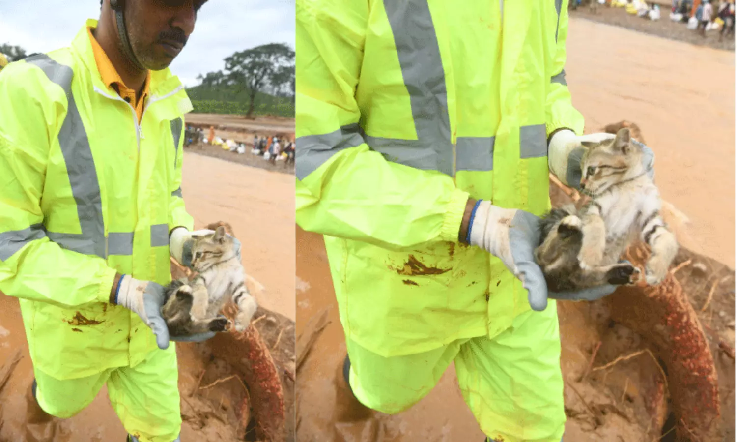 ചവിട്ടിനിൽക്കുന്ന മണ്ണിനടിയിൽ ജീവന്റെ തുടിപ്പുണ്ടോ...?