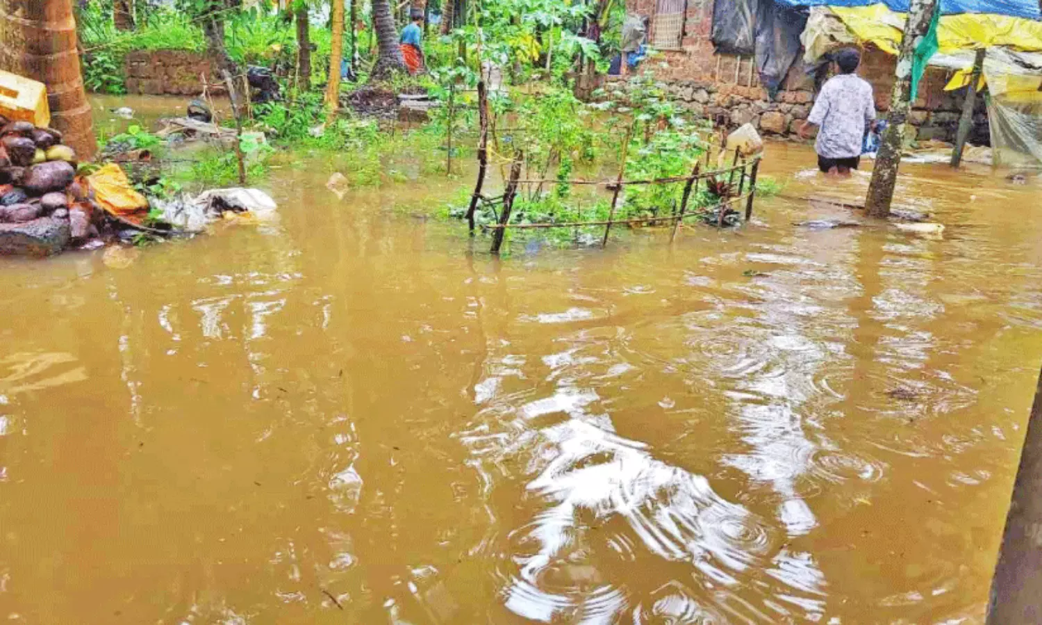 ദുരിതപ്പെയ്ത്ത്