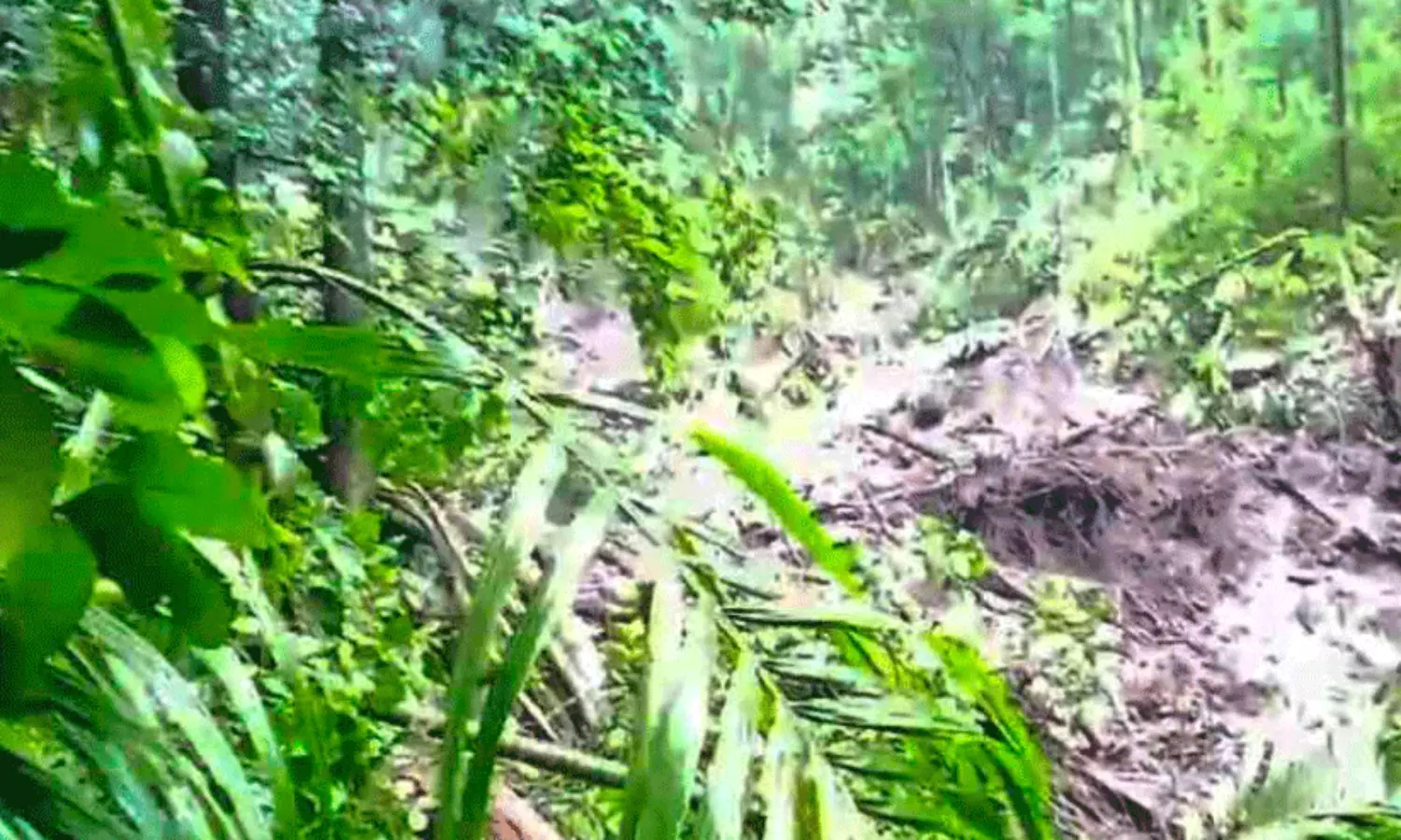 മങ്കയത്തും 27ാം മൈലിലും ഉരുൾപൊട്ടി