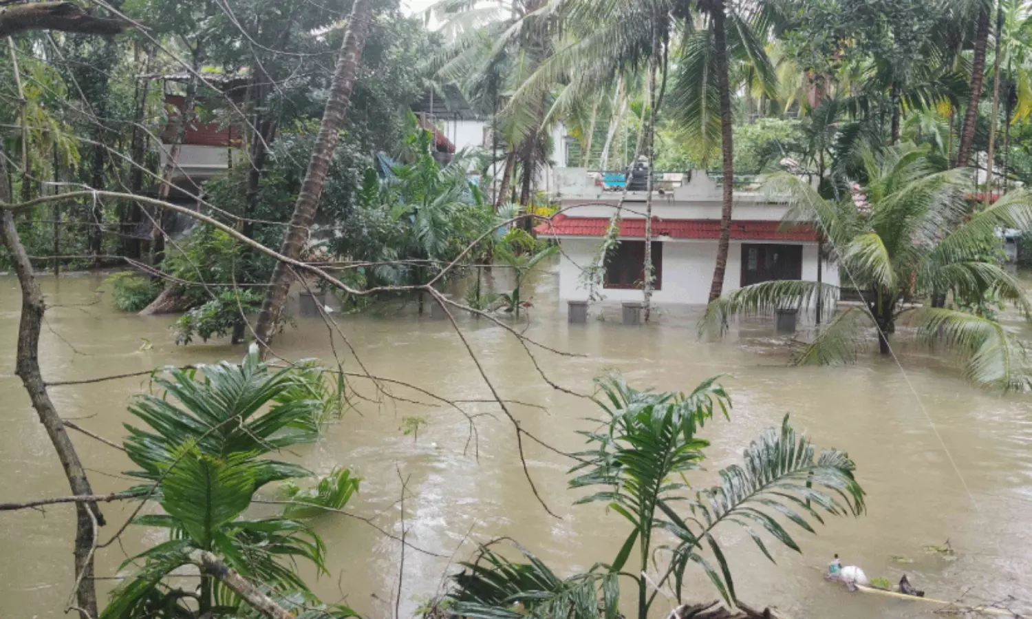 പൂനൂർപുഴ കരകവിഞ്ഞു; ആയിരങ്ങൾ വീടൊഴിഞ്ഞു