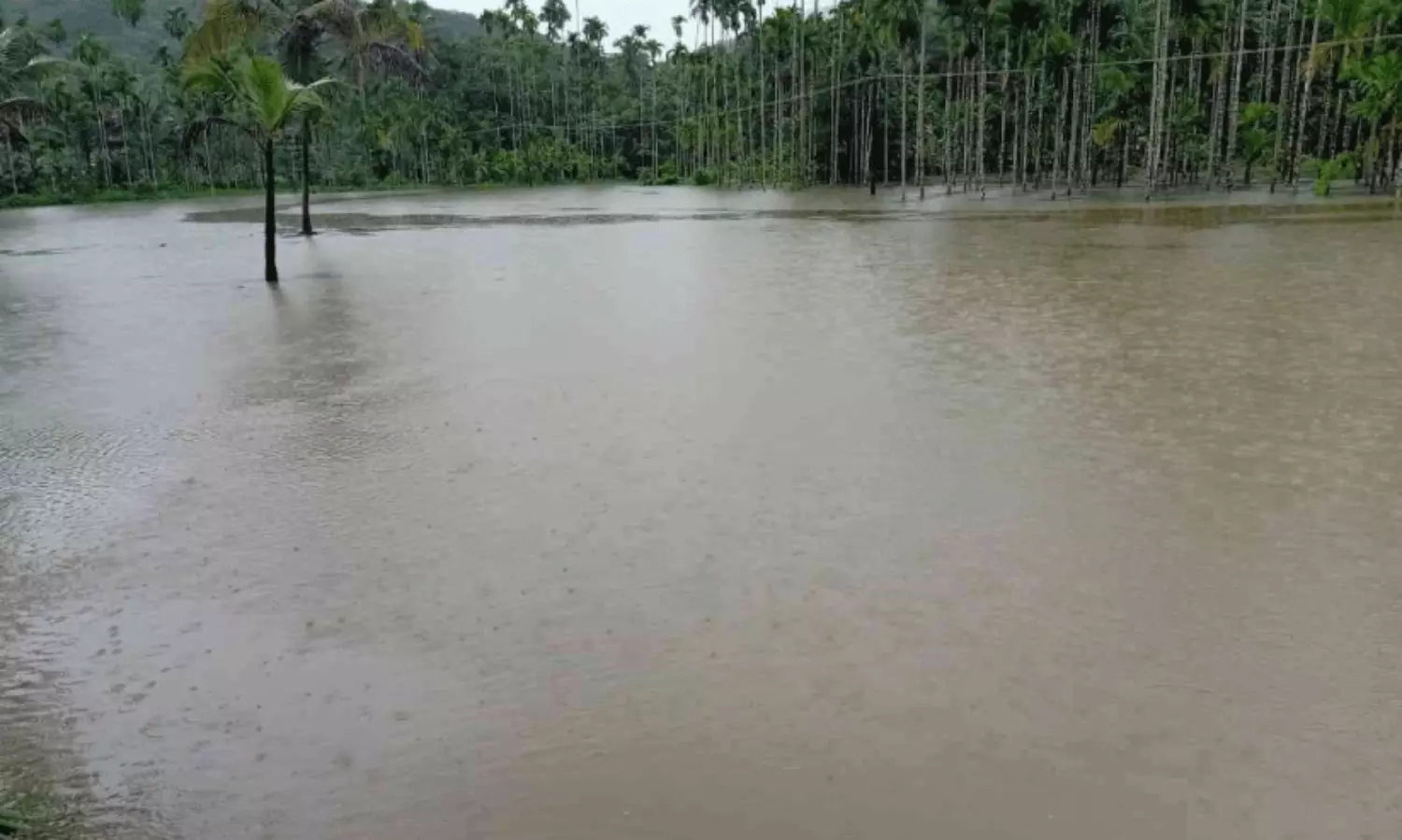 മ​ഴ​ക്കെ​ടു​തി തു​ട​രു​ന്നു; ഭീ​തിമുനമ്പിൽ നാട്
