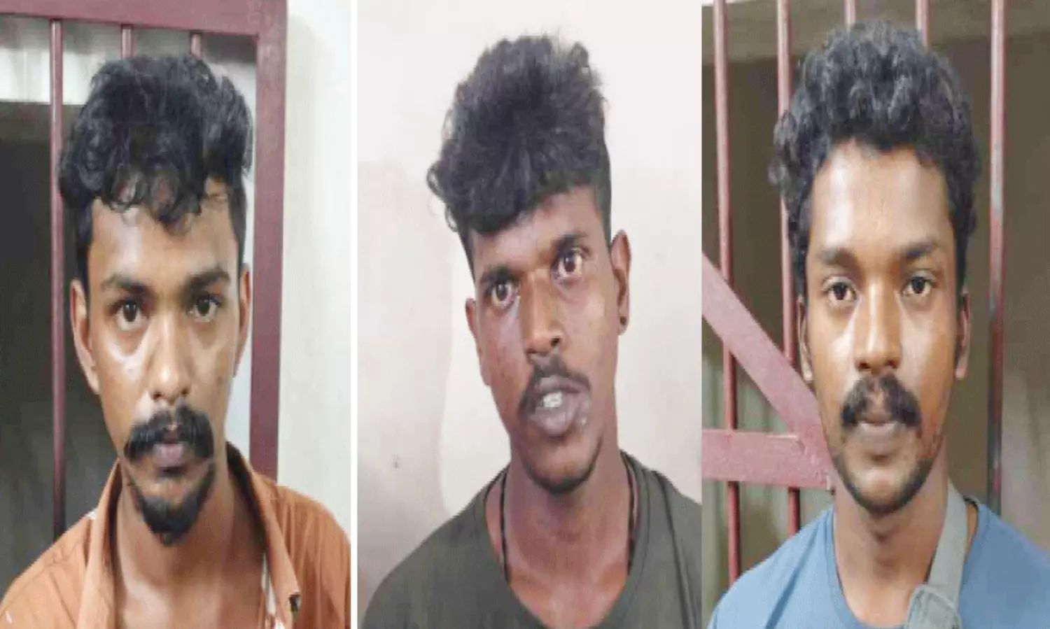 ഗർഭിണിയായ കുതിരക്കുനേരെ ആക്രമണം: മൂന്നുപേർ കൂടി പിടിയിൽ