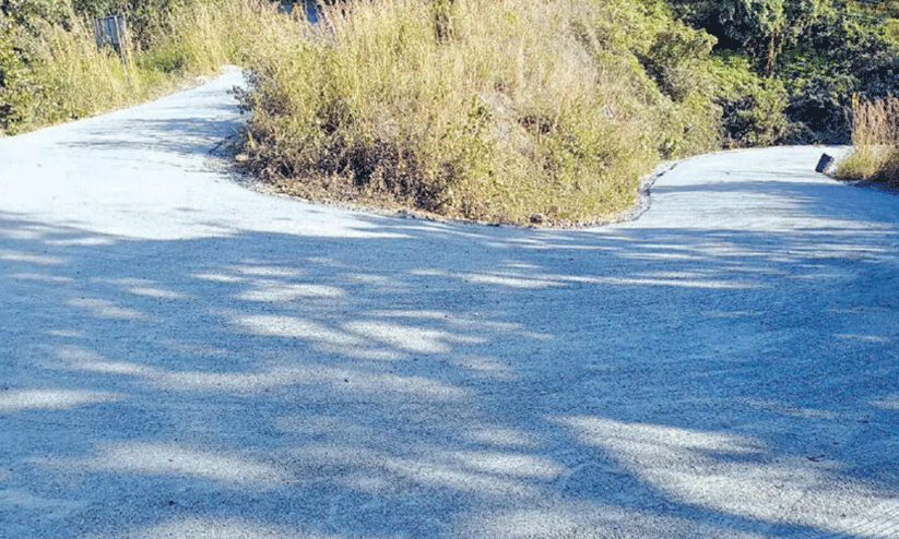 കൊ​ട്ടി​യൂ​ർ വ​യ​നാ​ട് ചു​രം പാ​ത​യും ത​ക​ർ​ച്ച ഭീ​ഷ​ണി​യി​ൽ