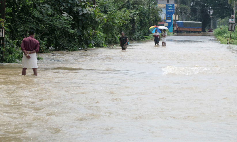 മഴയിൽ വിറങ്ങലിച്ച്... മഴയിൽ വിറങ്ങലിച്ച്...