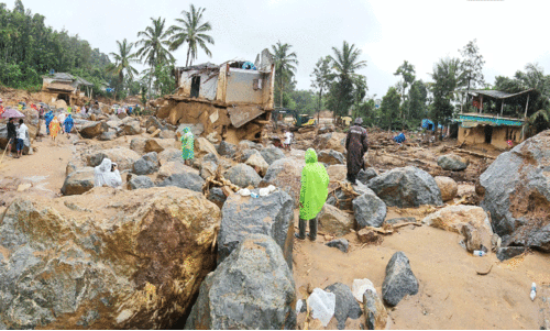 മരിച്ചവർ, മരവിച്ചവർ