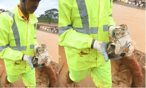 ചവിട്ടിനിൽക്കുന്ന മണ്ണിനടിയിൽ ജീവന്റെ തുടിപ്പുണ്ടോ...?