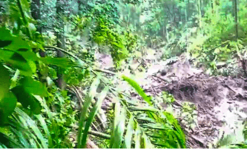 മങ്കയത്തും 27ാം മൈലിലും ഉരുൾപൊട്ടി