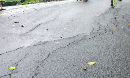 ചു​രം റോ​ഡി​ൽ വി​ള്ള​ല്‍