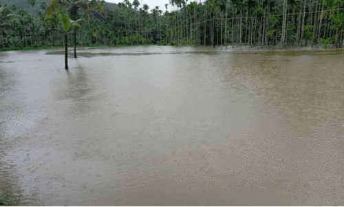 മ​ഴ​ക്കെ​ടു​തി തു​ട​രു​ന്നു; ഭീ​തിമുനമ്പിൽ നാട്