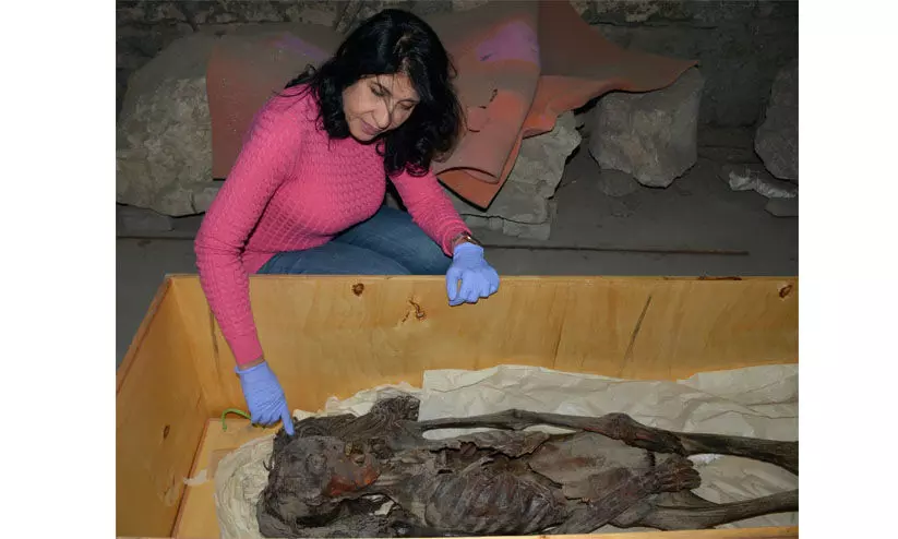 അലറുന്ന സ്ത്രീ മമ്മിക്കൊപ്പം പ്രൊഫ: സഹർ സലീം. അലറുന്ന സ്ത്രീ മമ്മിക്കൊപ്പം പ്രൊഫ: സഹർ സലീം.