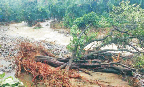 വിലാപമൊടുങ്ങാതെ വി​ല​ങ്ങാ​ട്